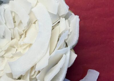 Coconut slices ( oven dried)