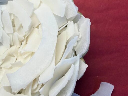 Coconut slices ( oven dried)