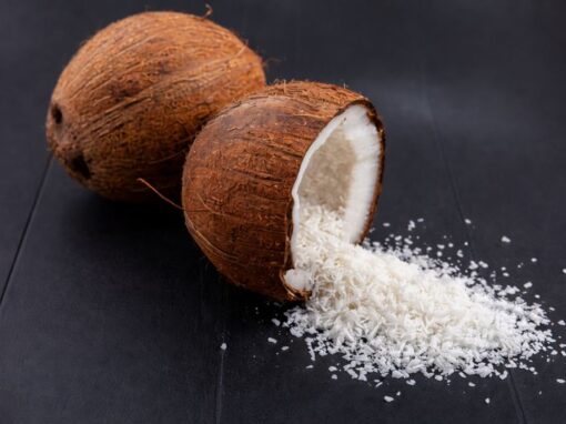 Low Fat dessicated Coconut