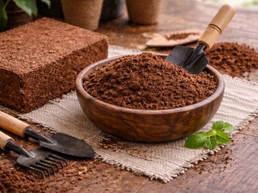 coco peat